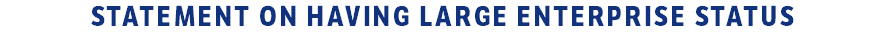 statement on having large enterprise status